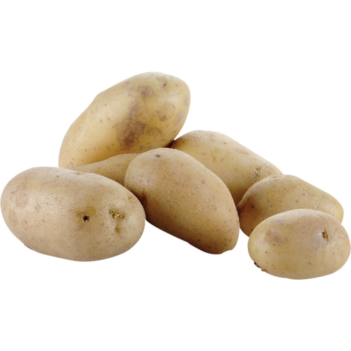 Image Aardappelschilmachine op voet (10 kg) 1