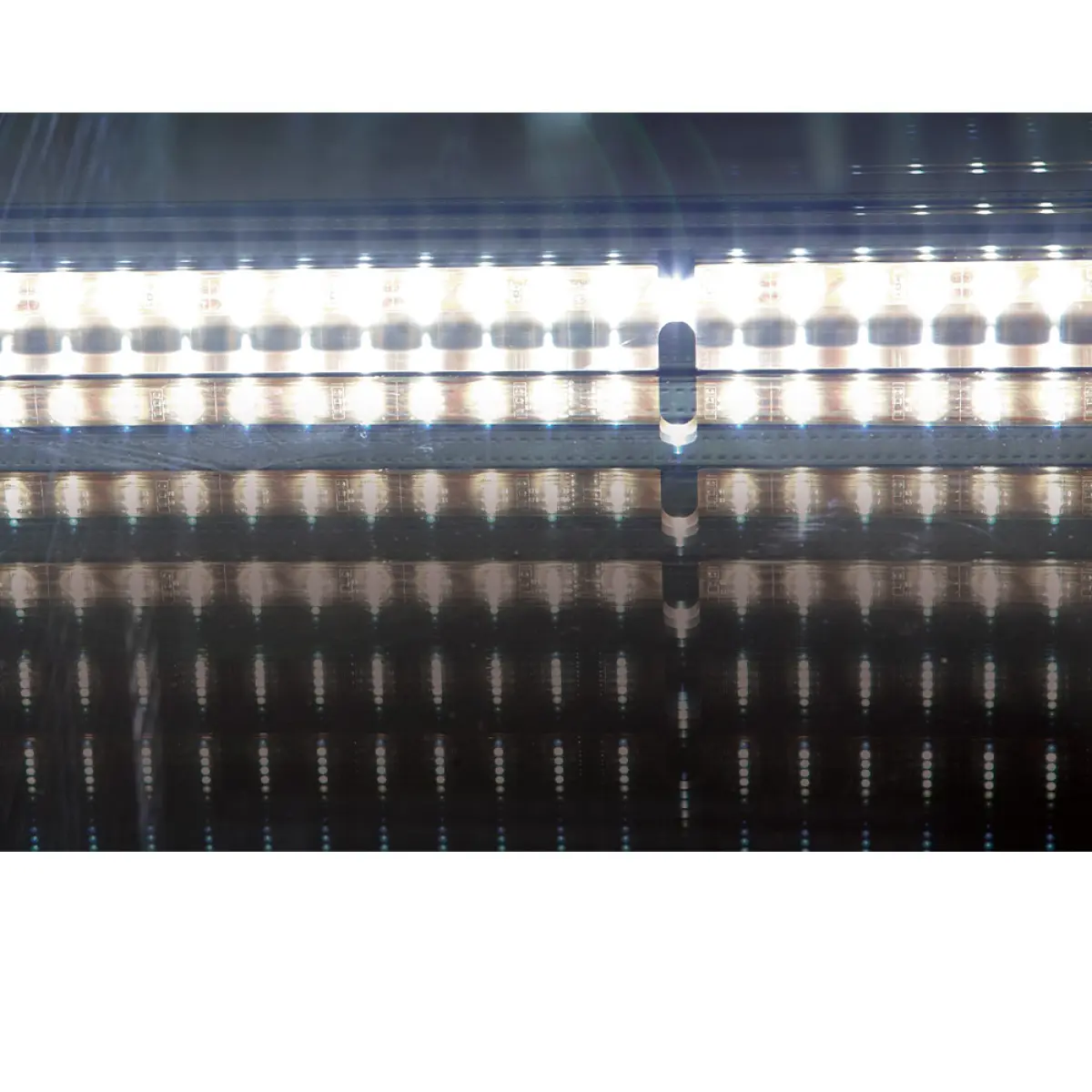 Image Geventileerde positieve T° vitrine 380 lit., zwart, met lichtbak 2