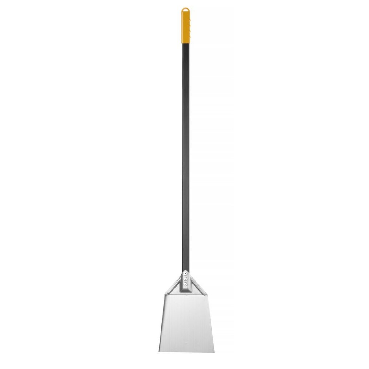 Image Asschep 2