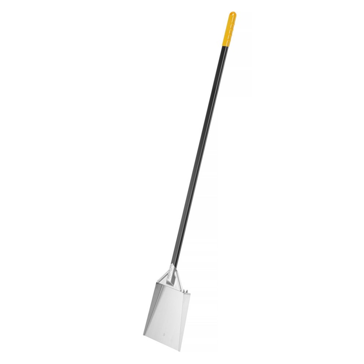 Image Asschep 3
