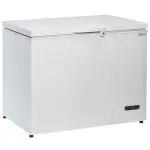 Kofferflessenkoeler, 300 liter, Massieve scharnierende deksel - Main Image