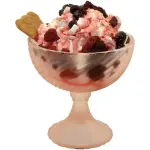 Pastorisator 30 liter/u, luchtcondensor - Image 3