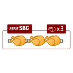 SMALL Kippenspit gas, 3 spitten (9 kippen) - Image 2