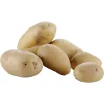 Aardappelschilmachine op voet, 18 kg, prod. 500 kg/u - Image 2