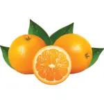 Fruitpers met hefboom "orange" - Image 2
