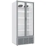 Vitrinekast positieve geventileerd, 804 liter, 2 draaideuren, WIT - Main Image