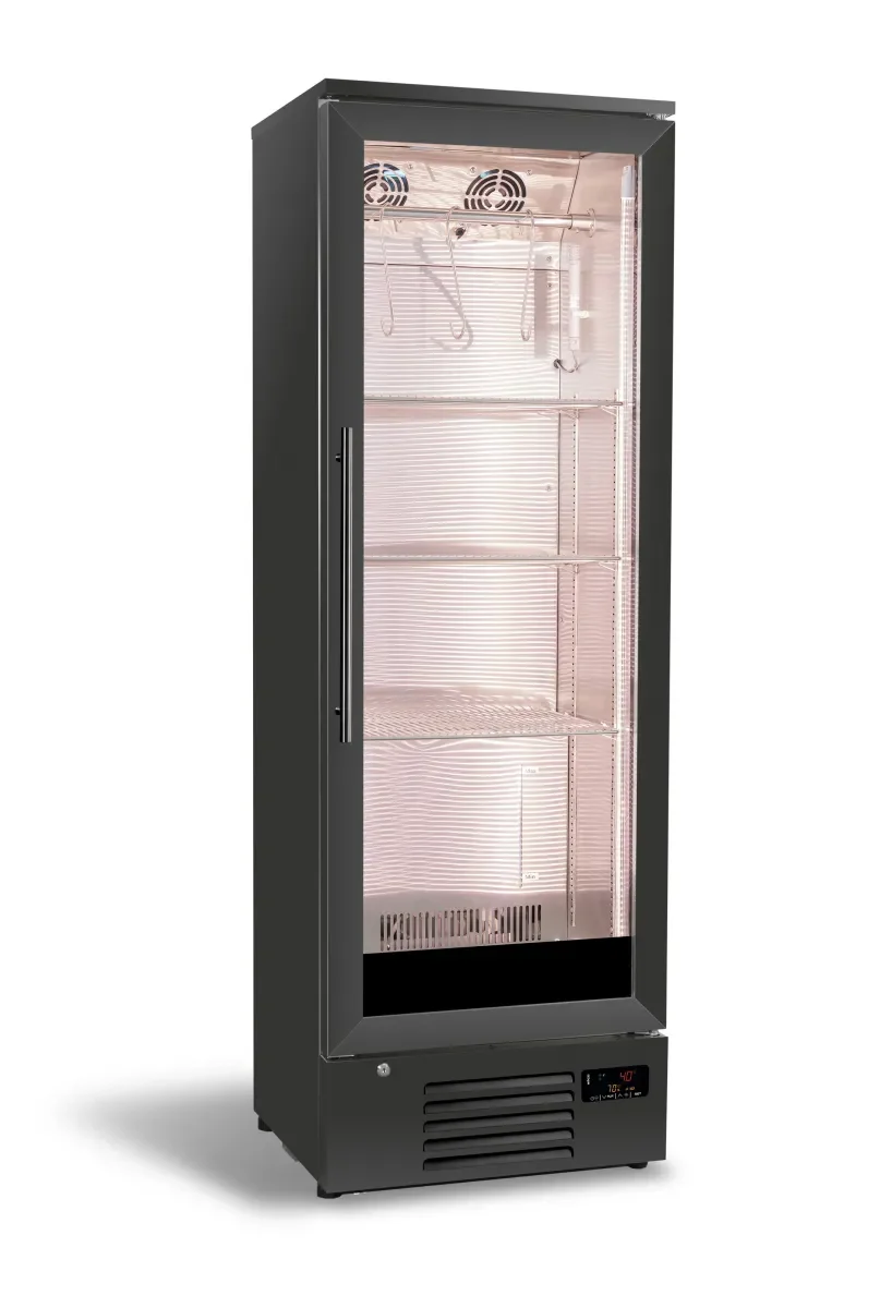 DRY AGE KAST 293L - Main Image