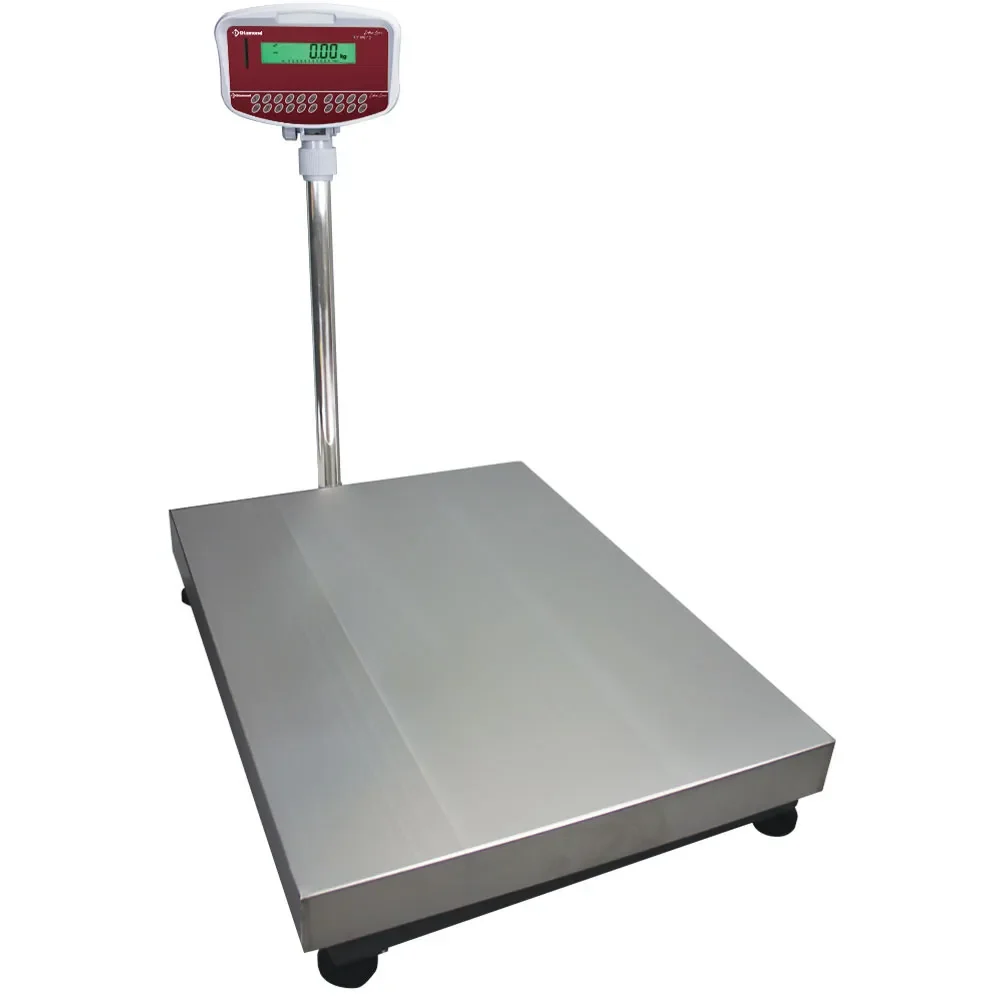 Roestvrij stalen elektronische weegschaal met kolom, 300Kg x 20g - Main Image